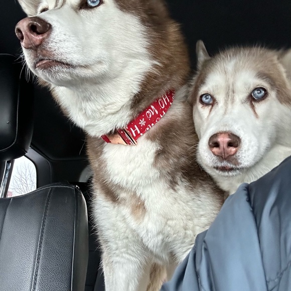 Meet your Posher, Susan - Picture 3 of 5